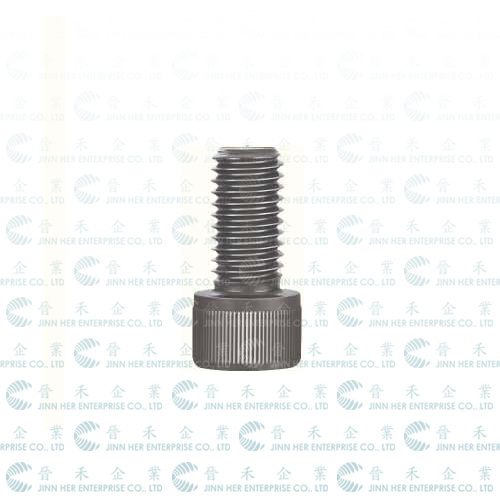 HEX SOCKET HEAD SCREW