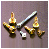 Self Tapping Screws