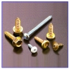 Self Tapping Screws 