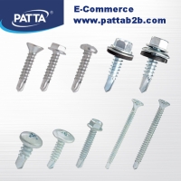 Self Drilling Screw 