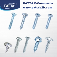 Self Tapping Screw