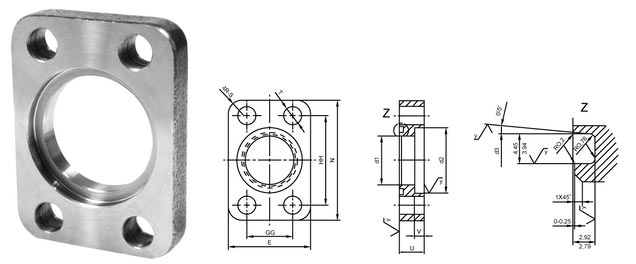 Piping Flange