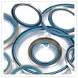 Rotating oil seals