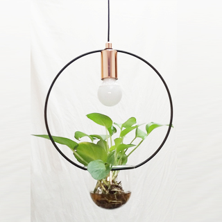 pendant lamp