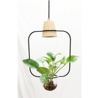 pendant lamp