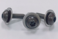 Screws & Washers Assembled (SEMS Screws)