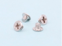 Small Precision Screws