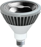 LED Reflector PAR38