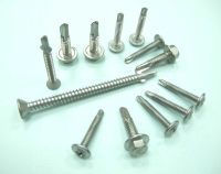 Self–Drilling Screw