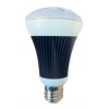 10w LED Bulb