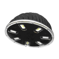 LED Garden Lamps