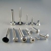 Stainless Steel Screw