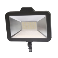 LED Flood Light