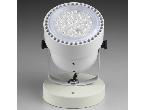 CD290 19W LED Spot Light W