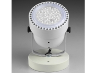 CD290 19W LED Spot Light W