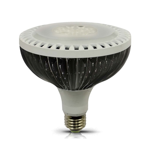 17W LED PAR38