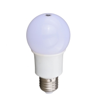 Sensor Light Bulb