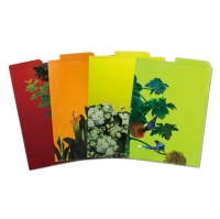 4 Different Colors A4 L Folder