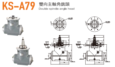 Double Spindle Angle Head