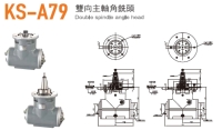 Double Spindle Angle Head