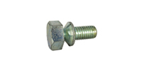 Tamper Proof Screws