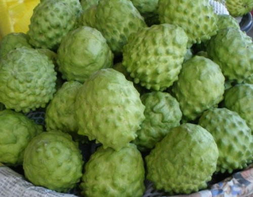 Custard Apple