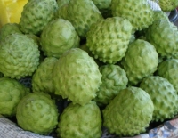 Custard Apple