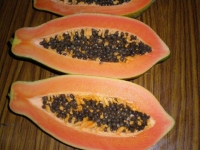 Papaya