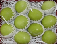 Indian jujube