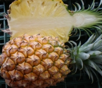 Pineapple