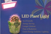 LED Plant Light