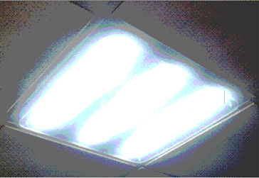 LED T-BAR Light