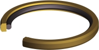 Bi-directional Pistaon Seal