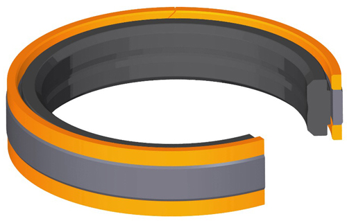 Bi-directional Piston Seal