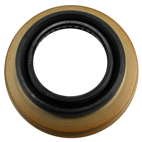 Oil Seals