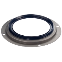 Oil Seals