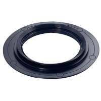 Oil Seals