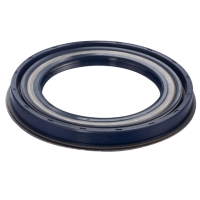 Oil Seals