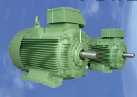 WRS IE2/IE3 High-efficiency motor