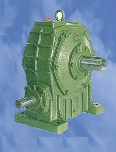 Worm gear reducer