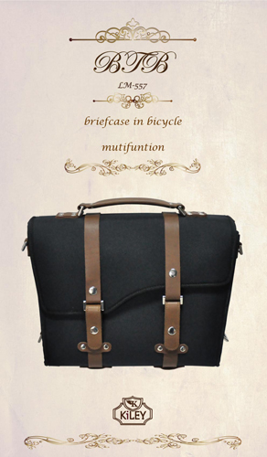 Bag in bicycle