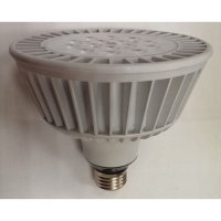 20W LED PAR38