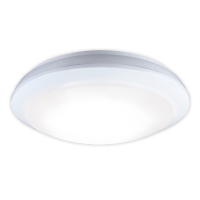 Outdoor Microwave Sensor Ceiling Light