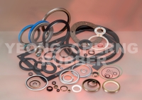 Custom Oil Seal, O-ring, VA, Gamma Seal, Gasket