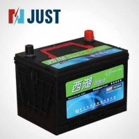 XIHU Maintenance-free Battery