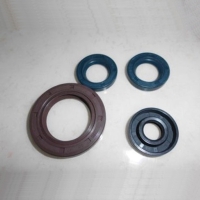 Oil Seal