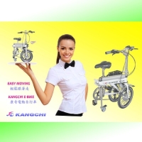 Folding Pedelec E-Bike (Remote Control)