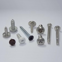 Self-tapping Screw