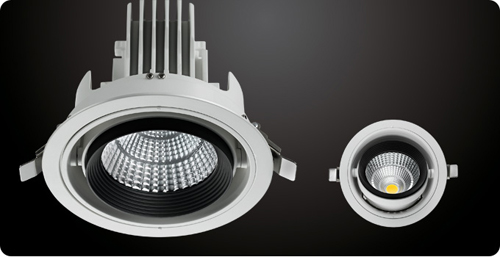 LED Downlight