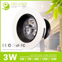 LED Ceiling Light